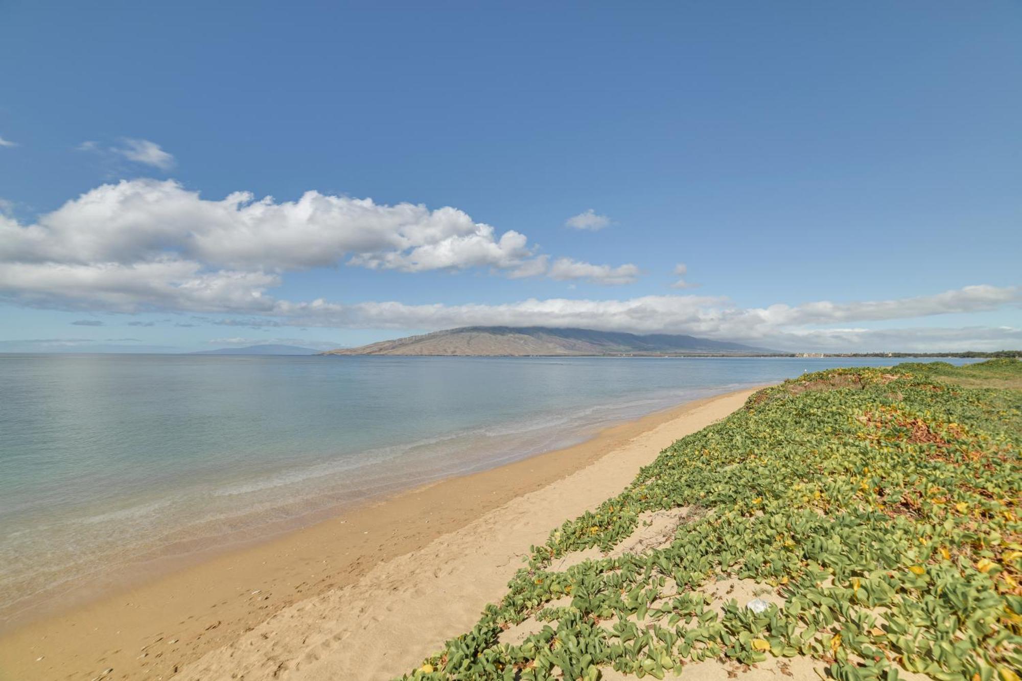 Kihei Haven At Village By The Sea, Steps To Beach! Zewnętrze zdjęcie